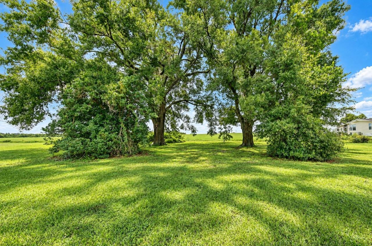 38740 Wilds Rd - Photo 5 of 30