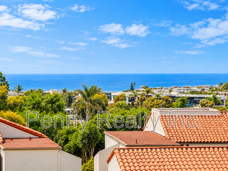 6575 Paseo Del Norte #D - Photo 5 of 36