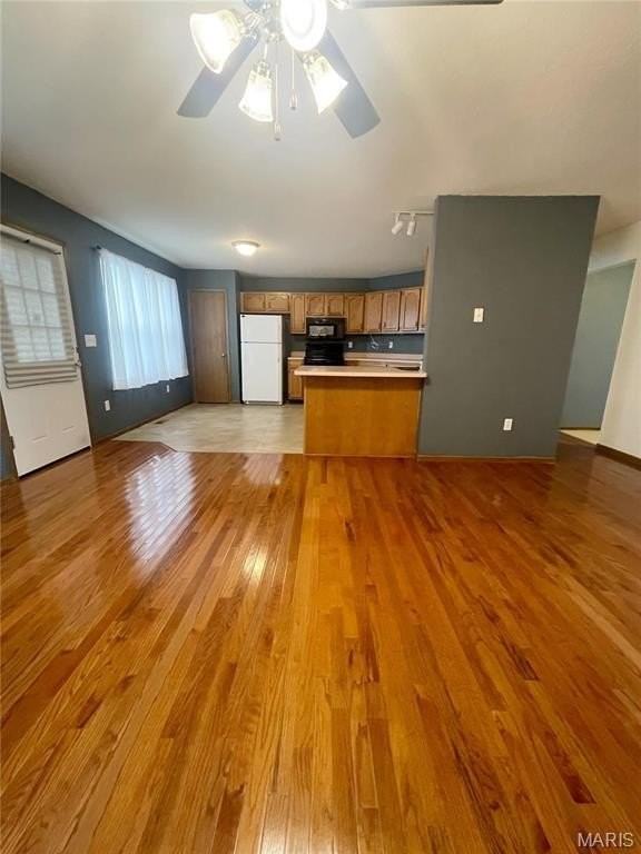1433 Bristlecone Dr - Photo 3 of 15
