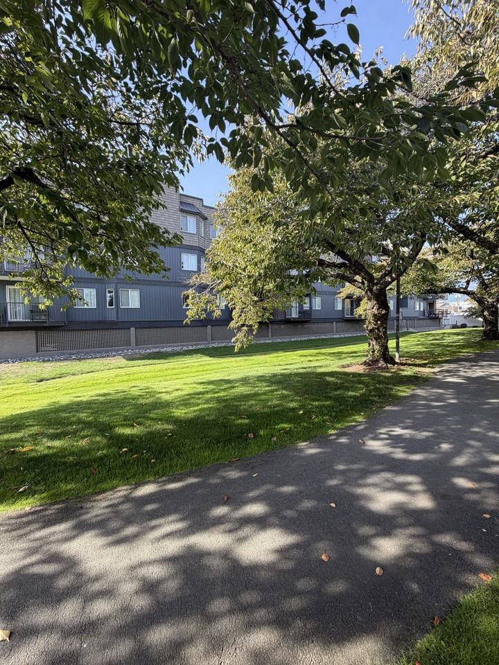 Lakeside Court - Photo 6 of 24
