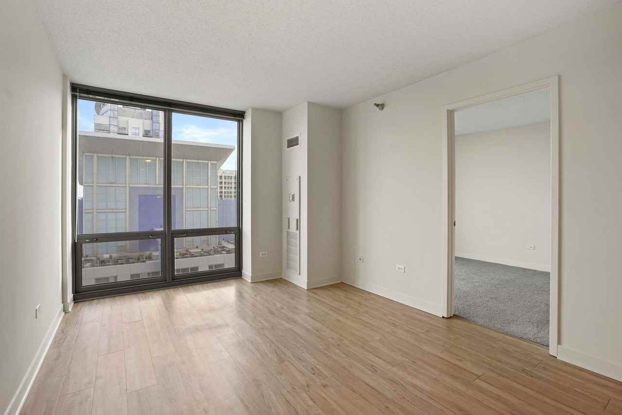 1251 S Michigan Ave - Photo 4 of 17