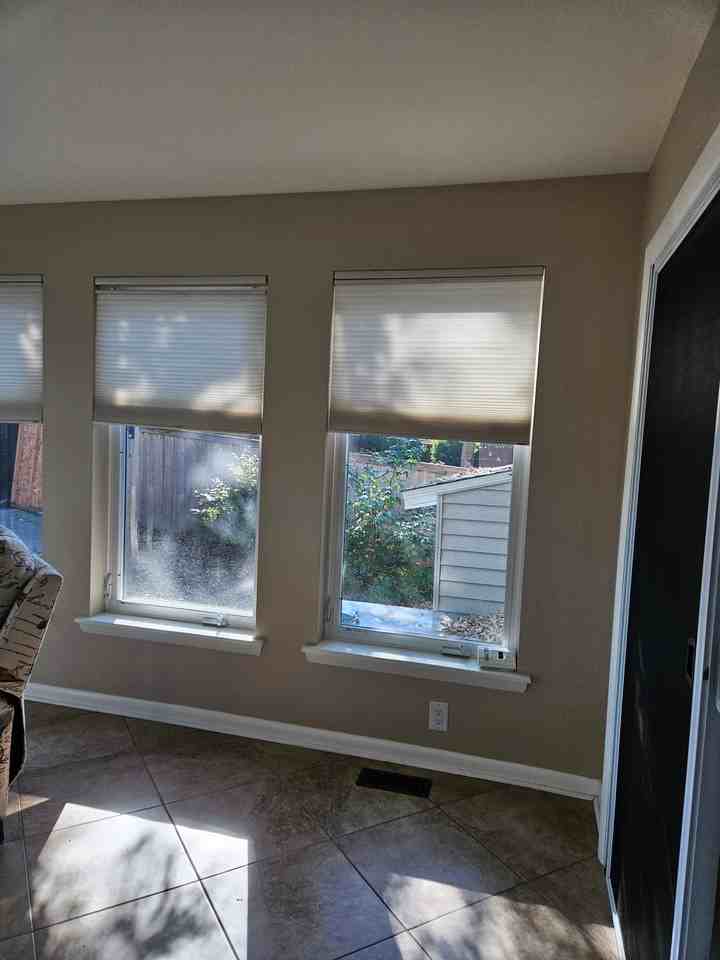 416 Pinewood Dr - Photo 7 of 19
