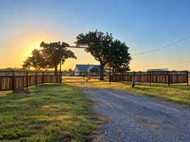 featured image of 4529 Fm 1195