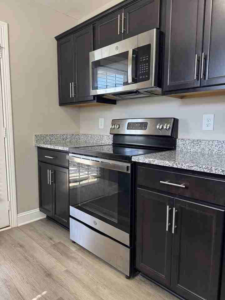 425 Irish Hills Dr - Photo 6 of 15