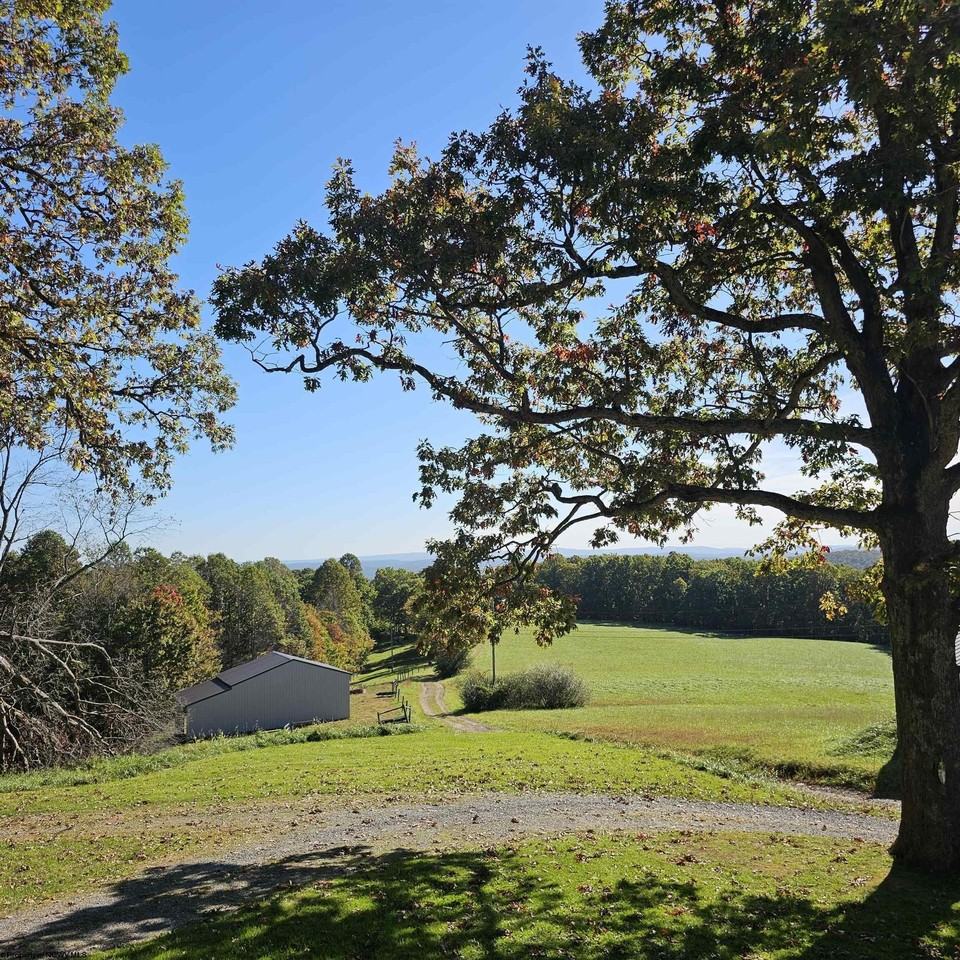 91 Cales Rd - Photo 5 of 13