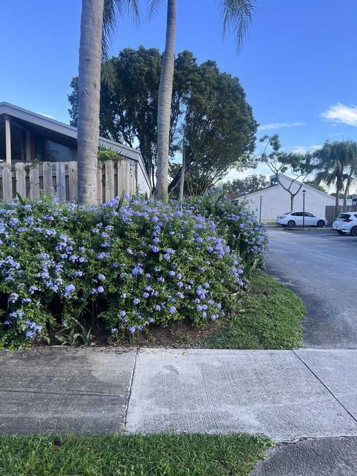 1737 Nw 73rd Ave #41 - Photo 5 of 19