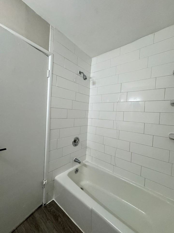 Fully Renovated Modern Apartments - Photo 6 of 15