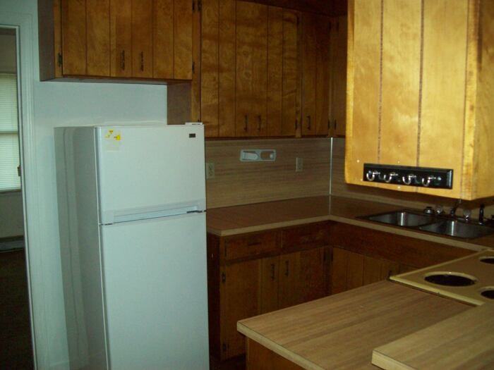 1519 Patsy Albritton St #1519 - Photo 4 of 7