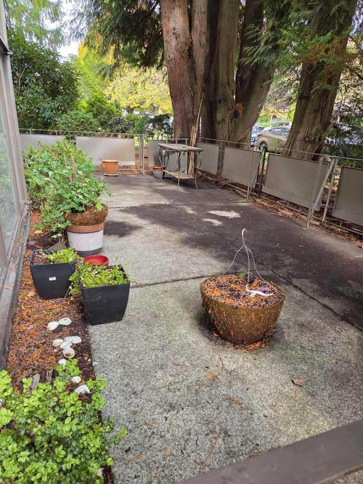 2 Bedroom Unit Available at 5863 Vine Street! - Photo 6 of 9