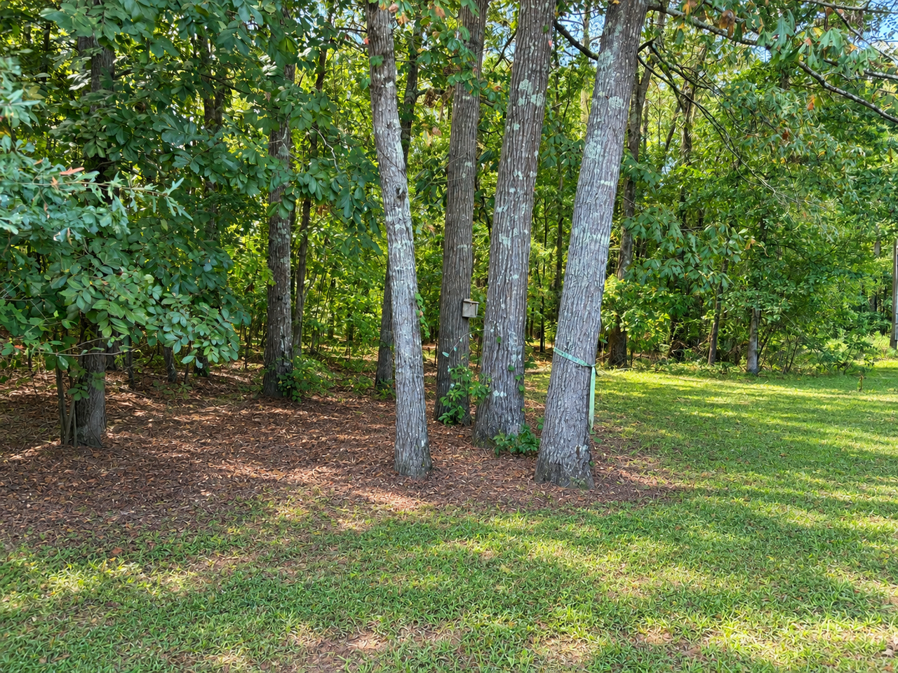 201 Pineturn Ln - Photo 3 of 11