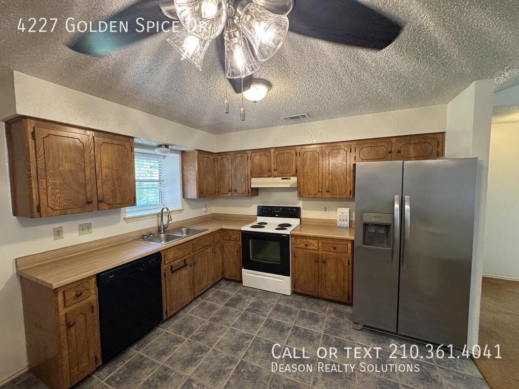 4227 Golden Spice Dr - Photo 3 of 17