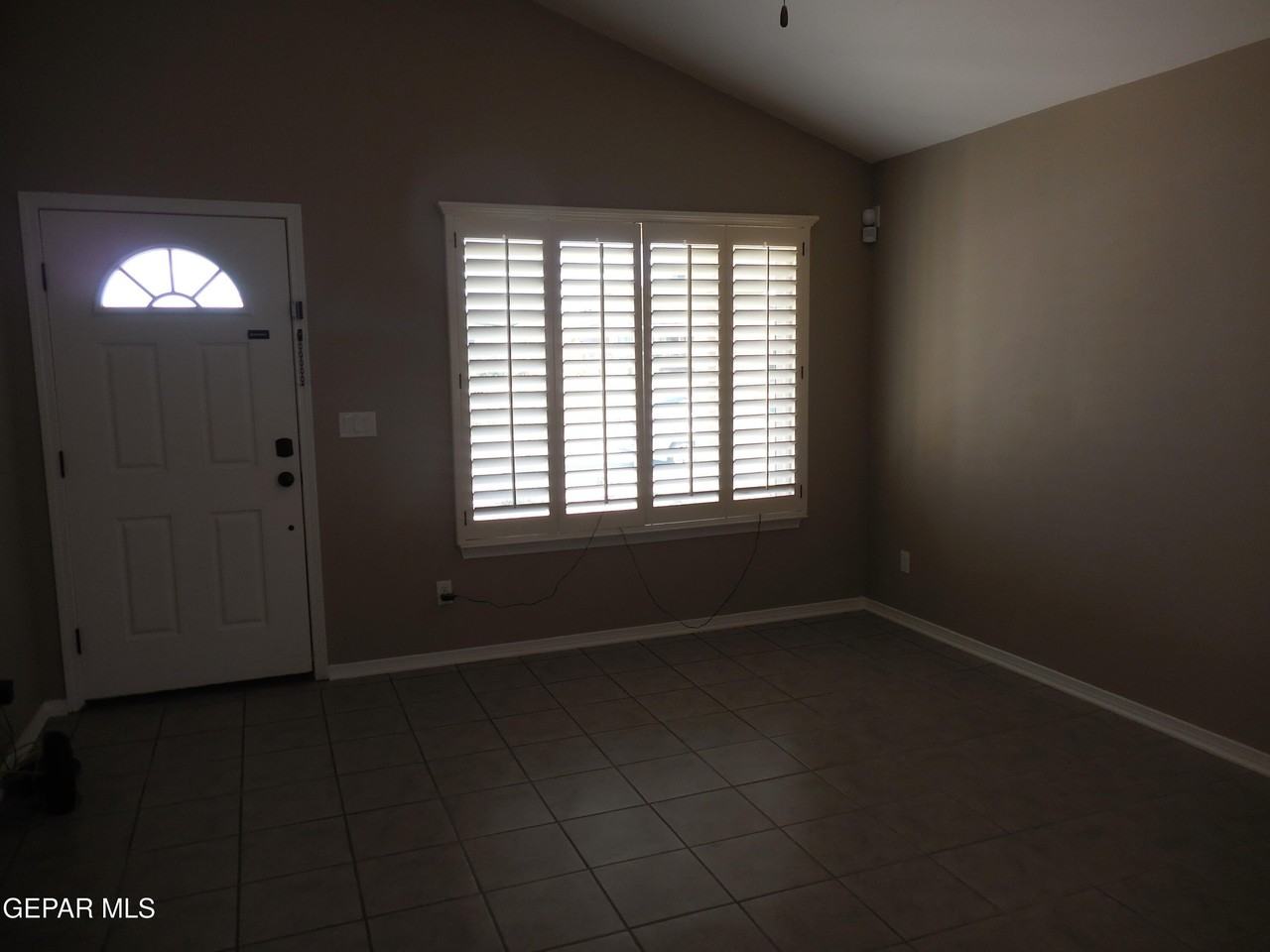 917 Jimson Weed Dr - Photo 4 of 36