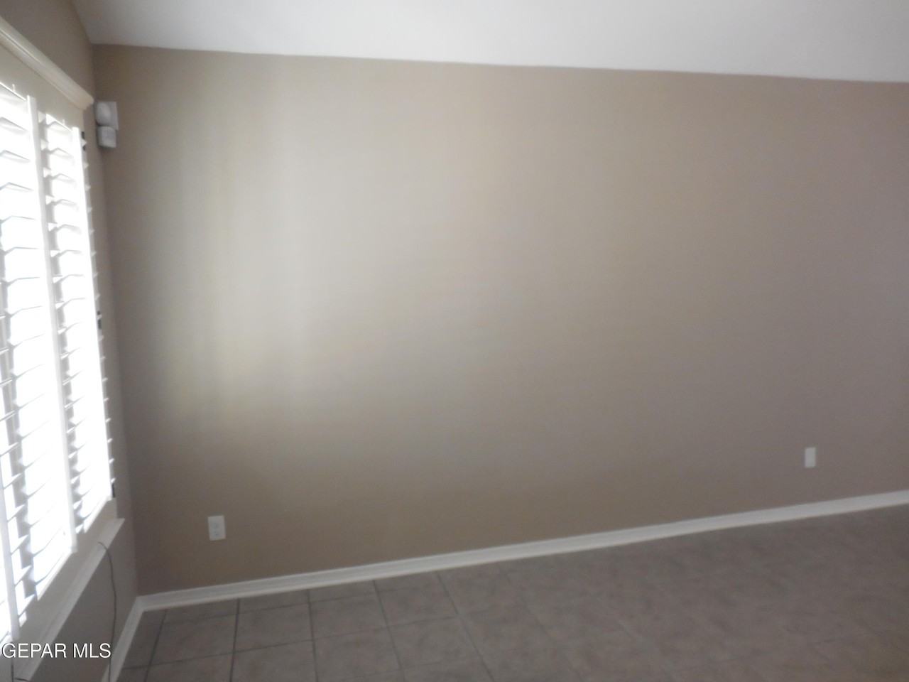917 Jimson Weed Dr - Photo 5 of 36