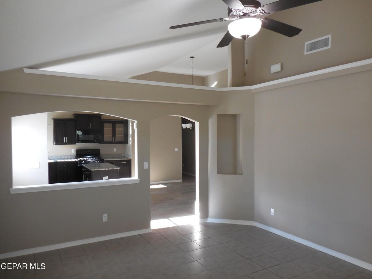 917 Jimson Weed Dr - Photo 6 of 36
