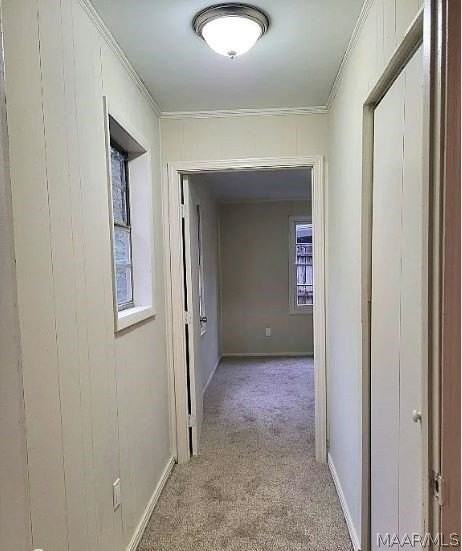 431 Gardendale Dr - Photo 3 of 6