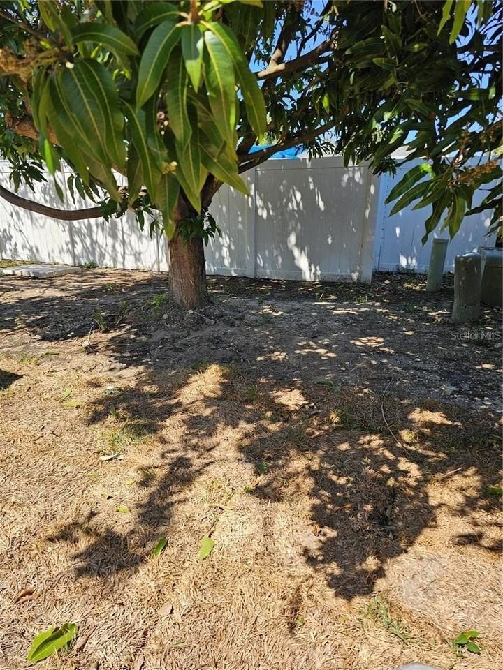 7425 Abalone Dr - Photo 2 of 6