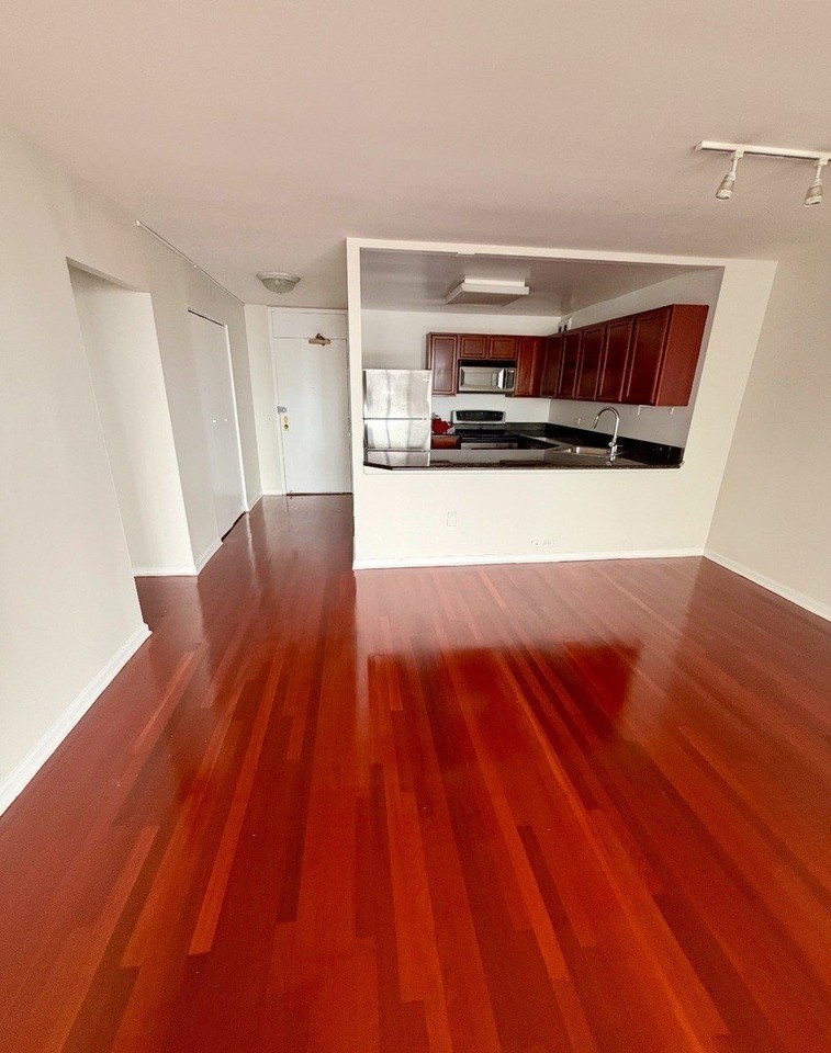 525 W Hawthorne Pl #2704 - Photo 5 of 11