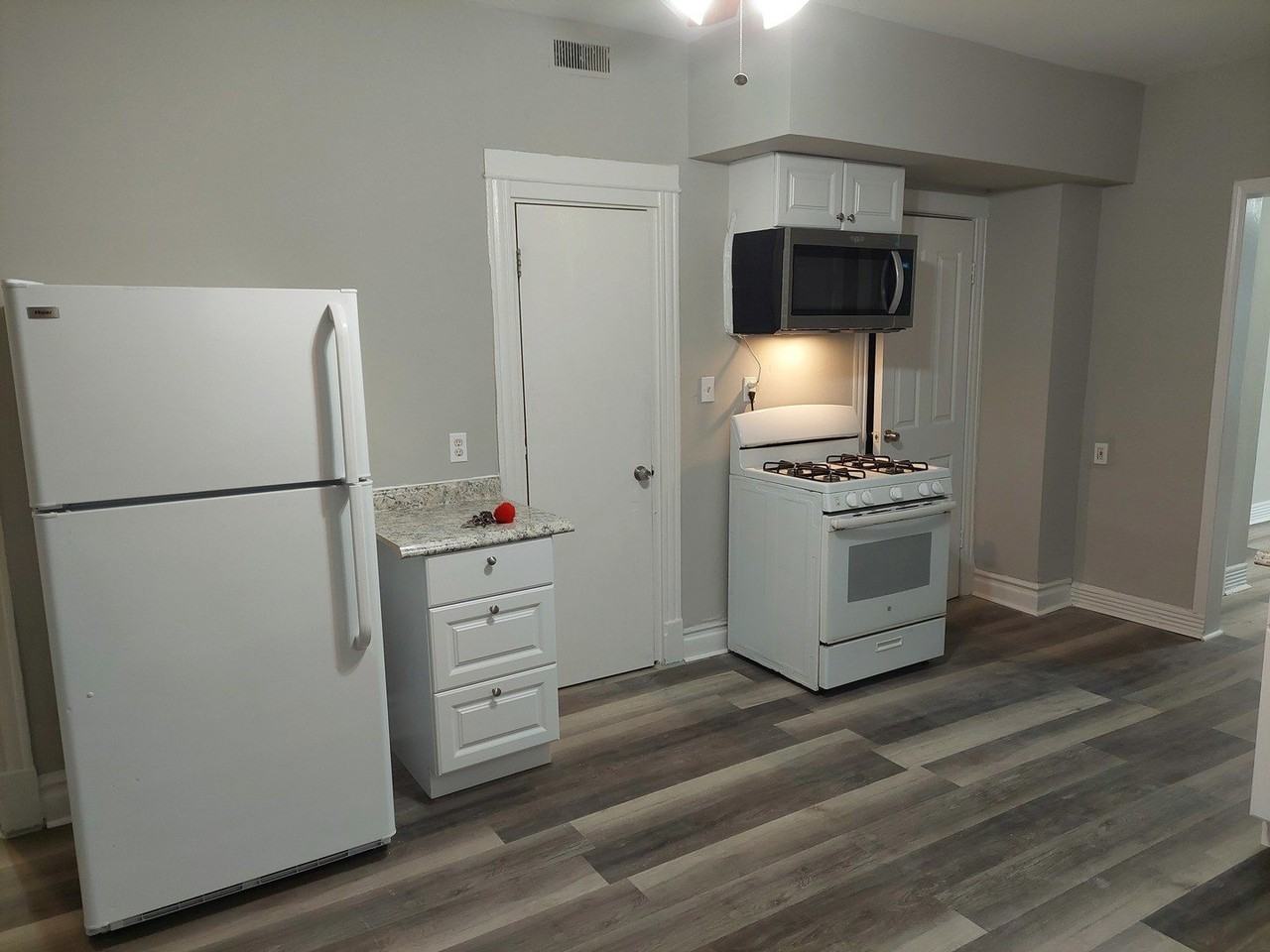 4446 S Hermitage Ave #1F - Photo 6 of 10