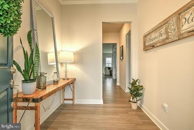 33910 Bridget Ln - Photo 3 of 33