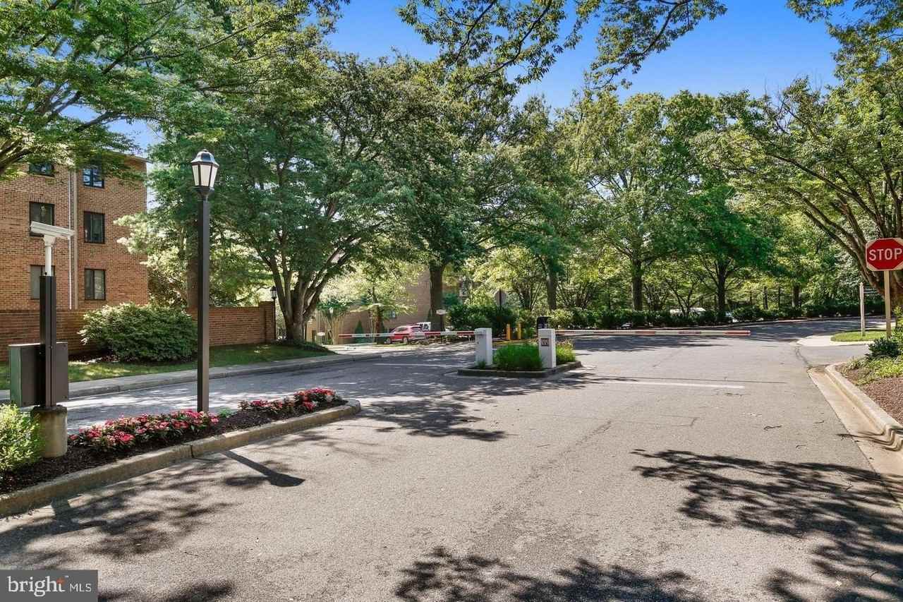 11419 Commonwealth Dr #302 - Photo 4 of 29