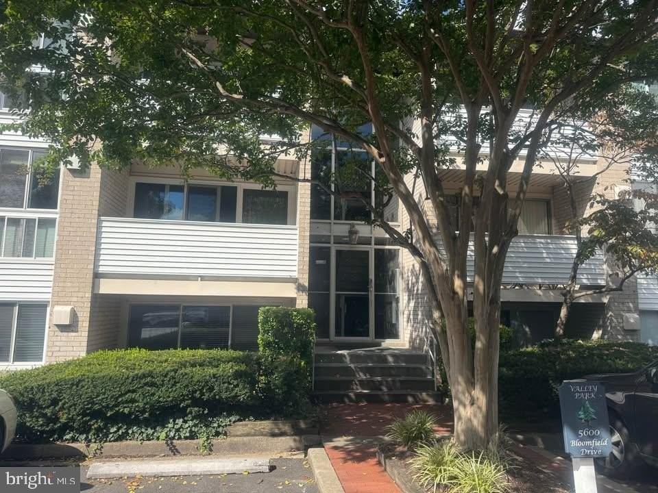 5600 Bloomfield Dr #203