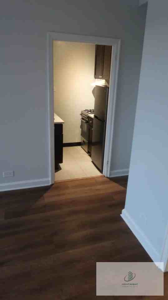 534 W Stratford Pl #308 - Photo 4 of 12