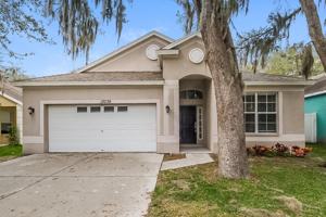 featured image of 13036 Terrace Springs Dr