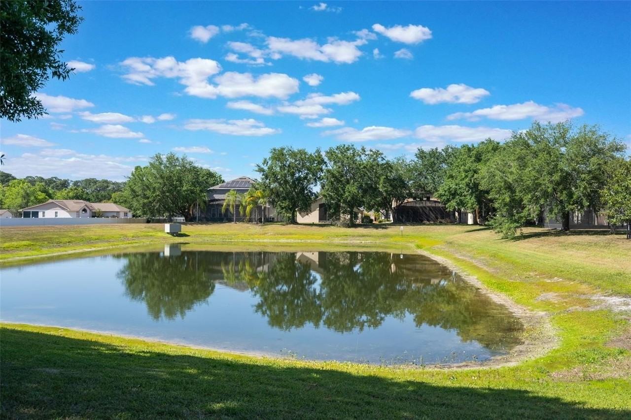 9838 Pecky Cypress Way - Photo 7 of 37