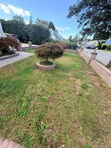 168 Walton Ave #2 - Photo 4 of 20