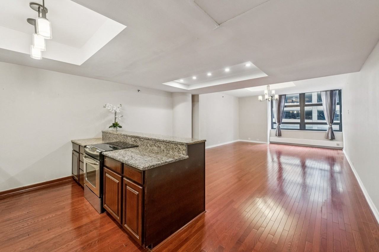 680 N Lake Shore Dr #317 - Photo 4 of 15