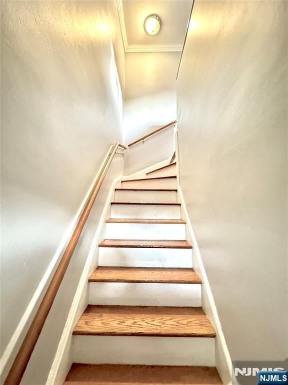 161 Knickerbocker Rd #D - Photo 3 of 13