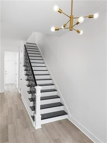1212 Aline St - Photo 3 of 24