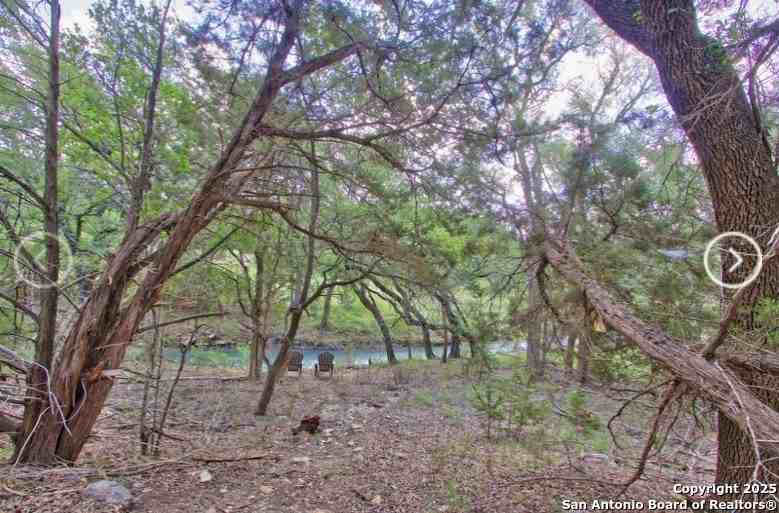 1269 Lavaca - Photo 4 of 25
