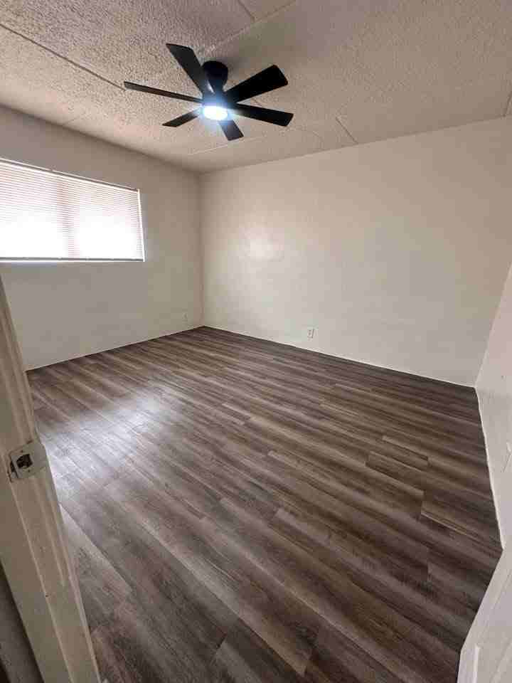 5506 Crane Street - Photo 7 of 20