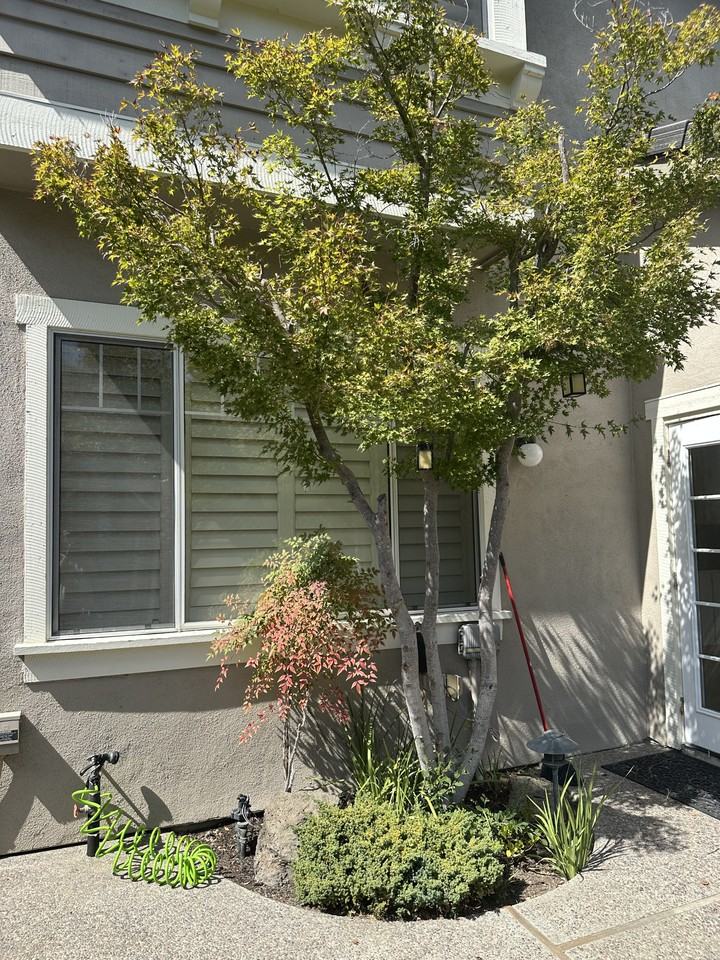 335 Sutton Cir - Photo 2 of 18