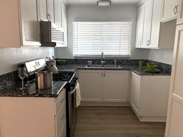 7307 Woodman Ave - Photo 3 of 10