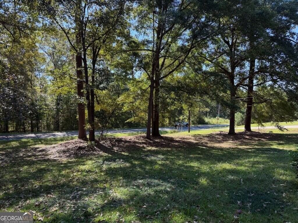 981 E Atlanta Rd - Photo 3 of 11