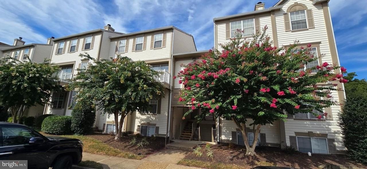 9262C Cardinal Forest Ln #301