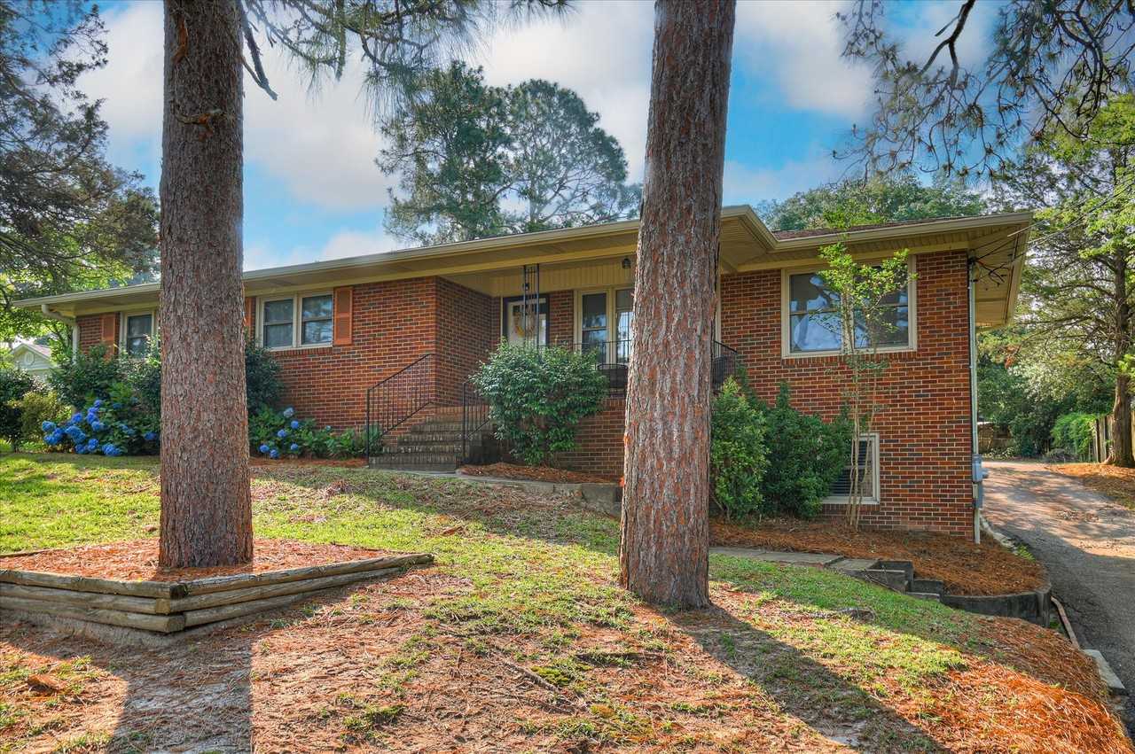 1002 Edisto Ave - Photo 2 of 49