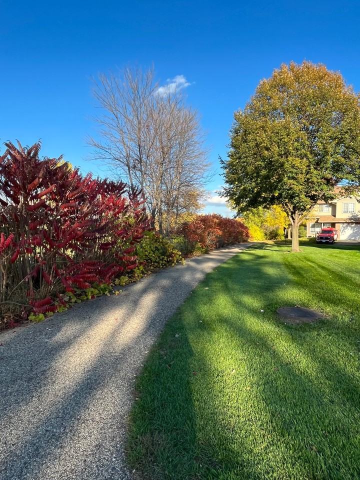 21217 N Clydesdale Curv - Photo 2 of 22