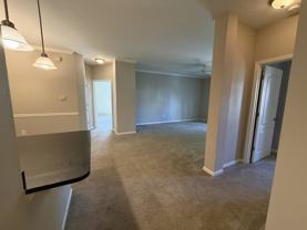 12913 Tradd Street - 2BUnit 2B #2B - Photo 1 of 1