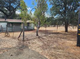 featured image of 3162 Shasta Rd