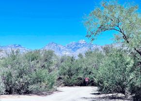 El Mesquital - Photo 1 of 1