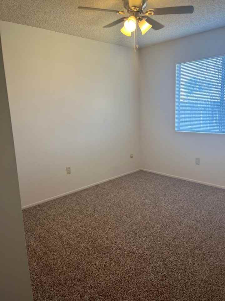 6709 Patton Way - Photo 5 of 10