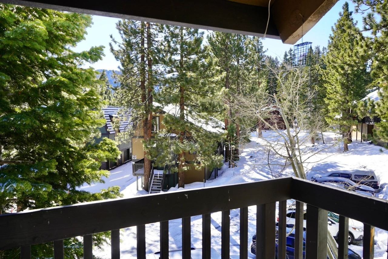 1629 Majestic Pines Dr #106 - Photo 6 of 21