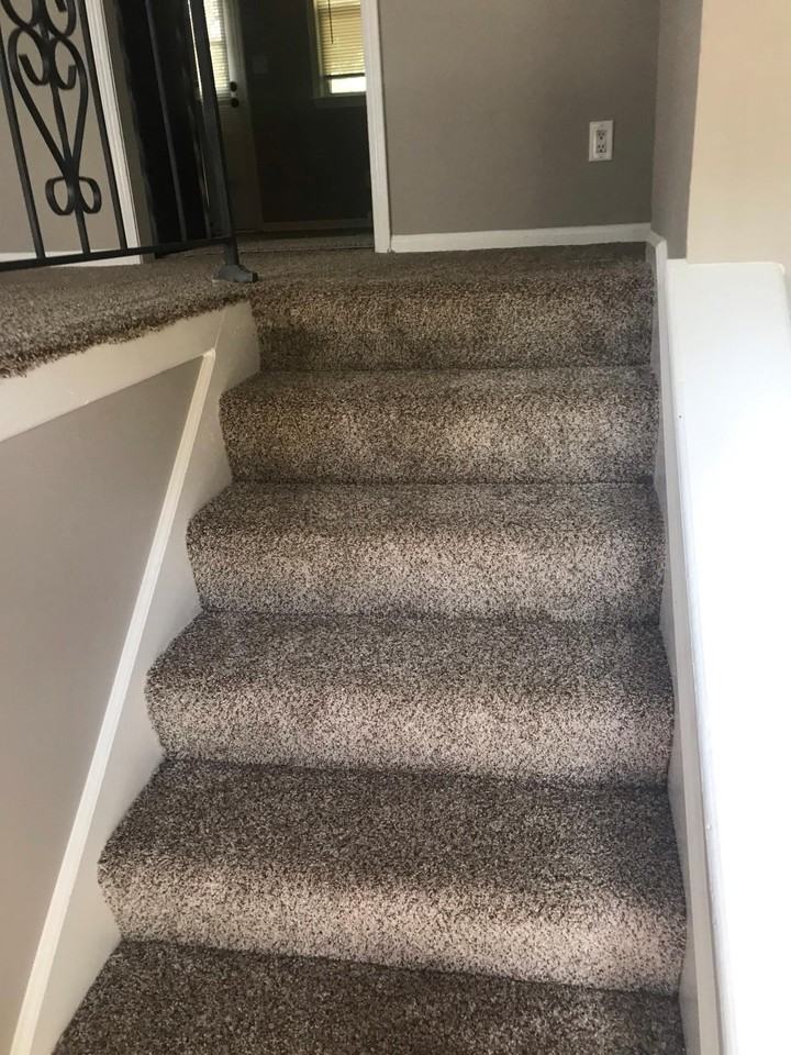 9202 West 49th Street - Photo 7 of 15