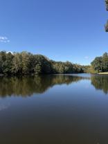 1520 Lake Randolph Rd #NA - Photo 1 of 1