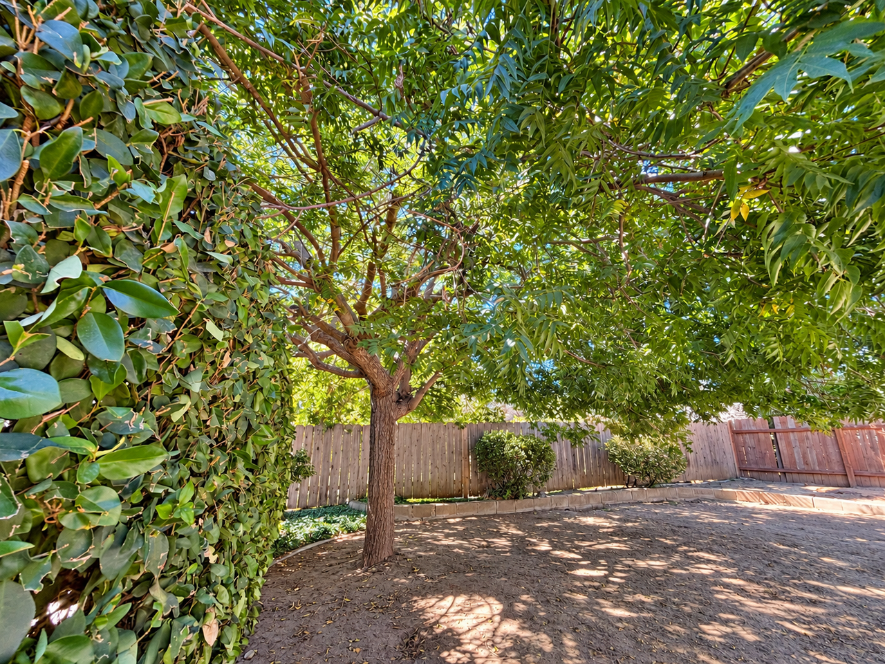 3161 Laurashawn Ln #NA - Photo 3 of 10