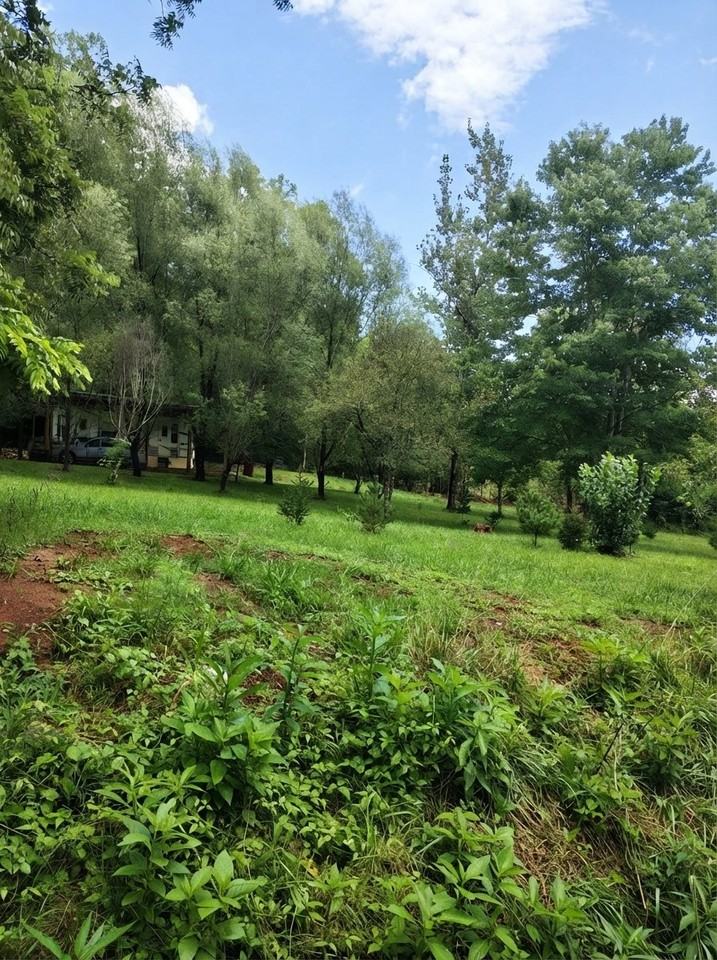 444 Walkertown Rd #NA - Photo 3 of 19