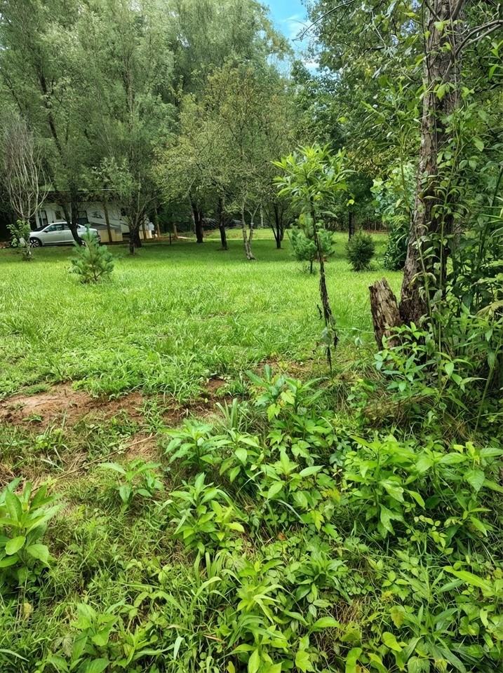 444 Walkertown Rd #NA - Photo 4 of 19
